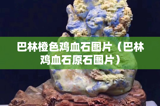 巴林橙色鸡血石图片（巴林鸡血石原石图片）