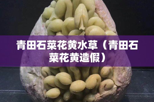 青田石菜花黄水草（青田石菜花黄造假）