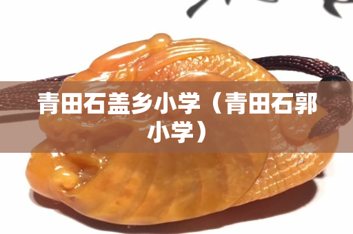 青田石盖乡小学（青田石郭小学）