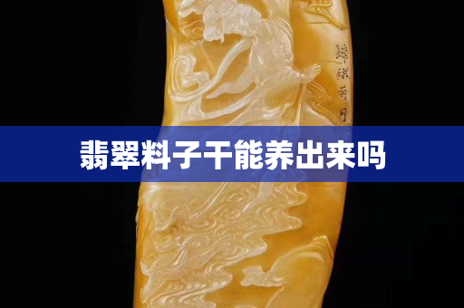 翡翠料子干能养出来吗