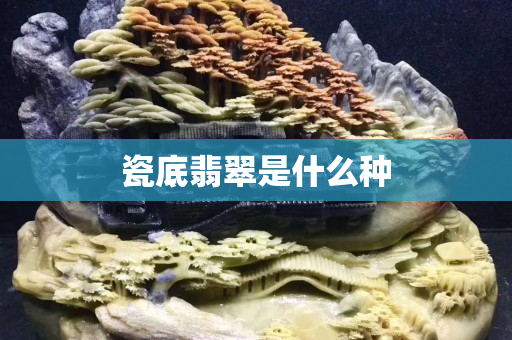 瓷底翡翠是什么种