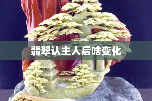 翡翠认主人后啥变化