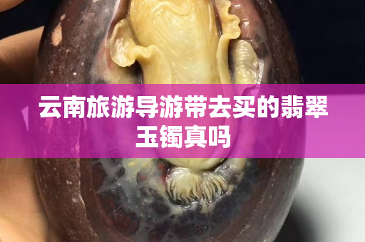 云南旅游导游带去买的翡翠玉镯真吗