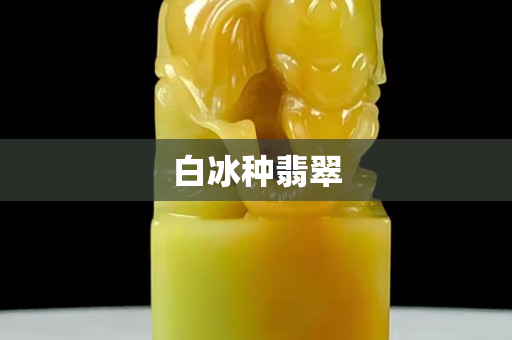白冰种翡翠 白冰种翡翠