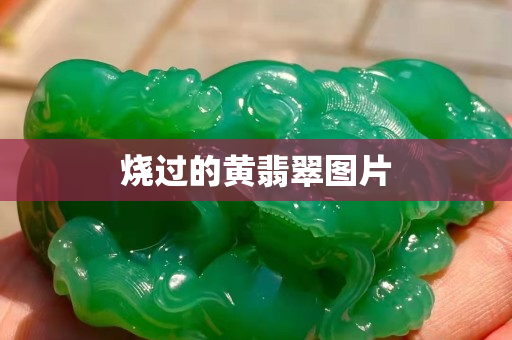 烧过的黄翡翠图片