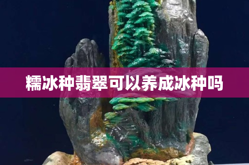 糯冰种翡翠可以养成冰种吗