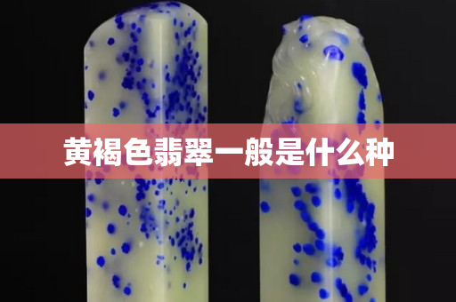 黄褐色翡翠一般是什么种 黄褐色翡翠一般是什么种