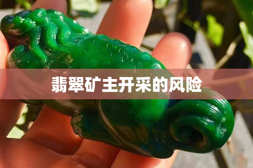 翡翠矿主开采的风险