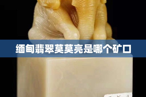 缅甸翡翠莫莫亮是哪个矿口