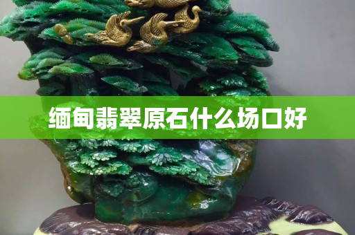 缅甸翡翠原石什么场口好