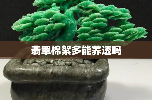 翡翠棉絮多能养透吗