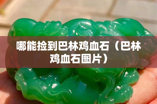 哪能捡到巴林鸡血石（巴林鸡血石图片）