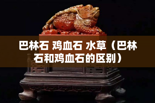 巴林石 鸡血石 水草（巴林石和鸡血石的区别）