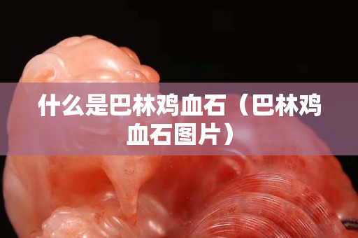 什么是巴林鸡血石（巴林鸡血石图片）