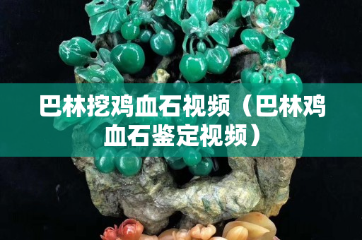 巴林挖鸡血石视频（巴林鸡血石鉴定视频）