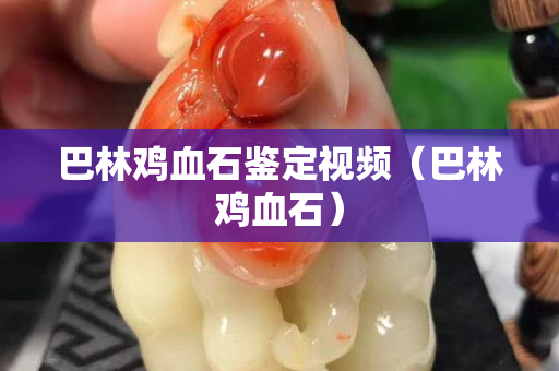巴林鸡血石鉴定视频（巴林鸡血石）