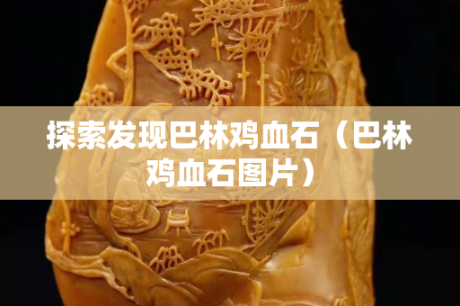 探索发现巴林鸡血石（巴林鸡血石图片）