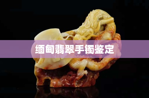 缅甸翡翠手镯鉴定