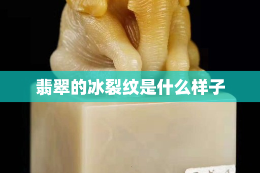 翡翠的冰裂纹是什么样子