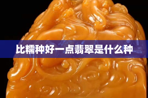 比糯种好一点翡翠是什么种