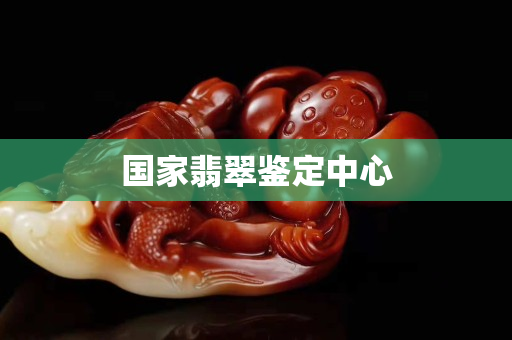 国家翡翠鉴定中心