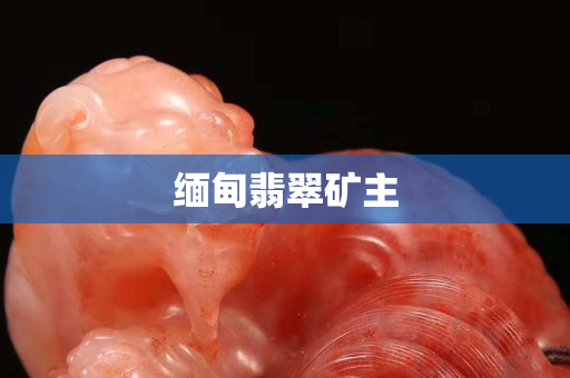 缅甸翡翠矿主