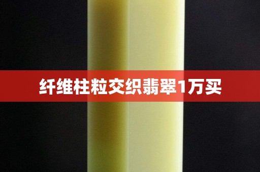 纤维柱粒交织翡翠1万买