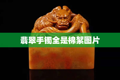 翡翠手镯全是棉絮图片