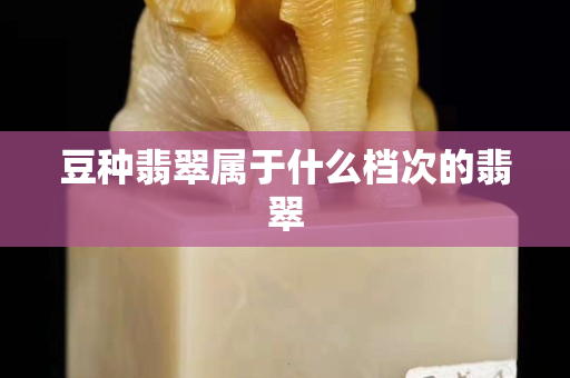 豆种翡翠属于什么档次的翡翠