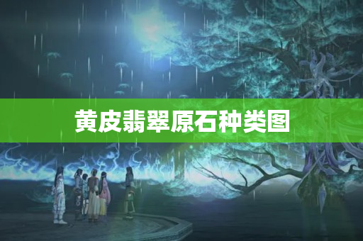 黄皮翡翠原石种类图