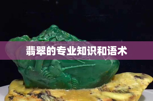 翡翠的专业知识和语术