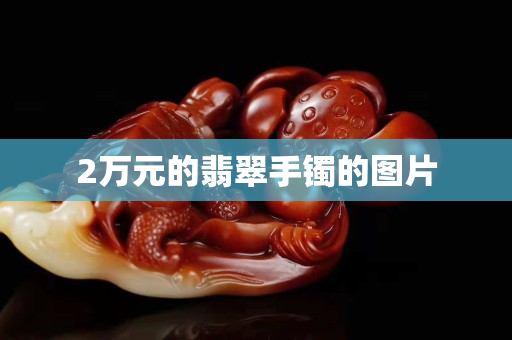 2万元的翡翠手镯的图片