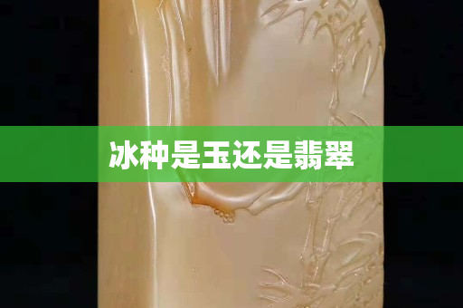 冰种是玉还是翡翠