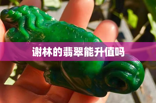 谢林的翡翠能升值吗