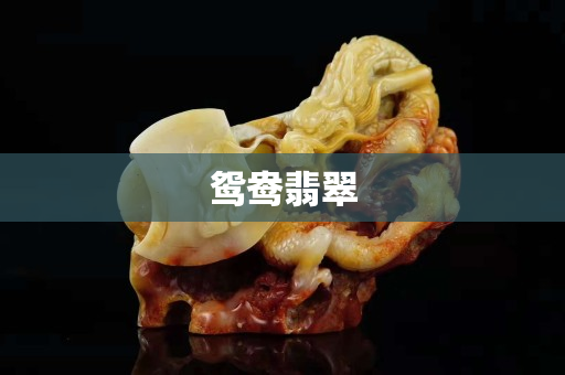 鸳鸯翡翠