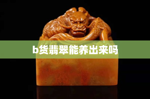 b货翡翠能养出来吗