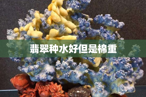 翡翠种水好但是棉重
