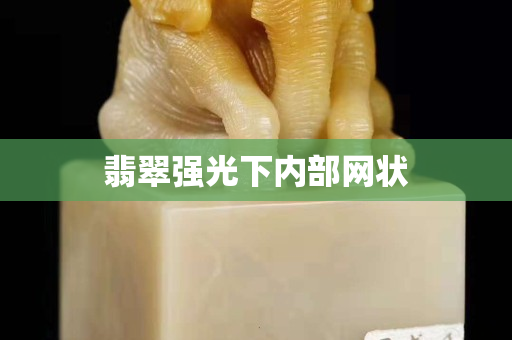 翡翠强光下内部网状