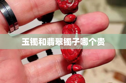 玉镯和翡翠镯子哪个贵