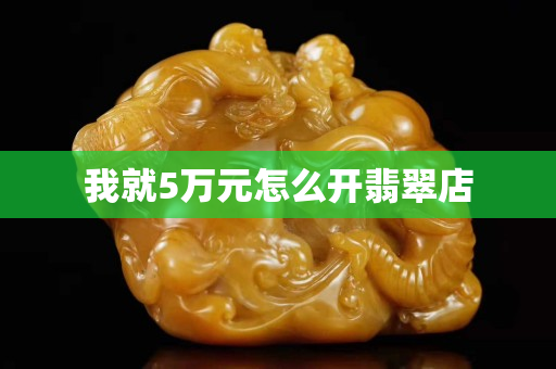 我就5万元怎么开翡翠店