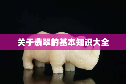 关于翡翠的基本知识大全 关于翡翠的基本知识大全
