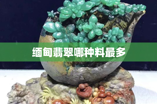 缅甸翡翠哪种料最多