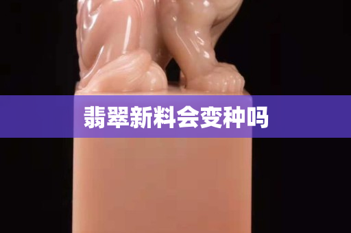 翡翠新料会变种吗