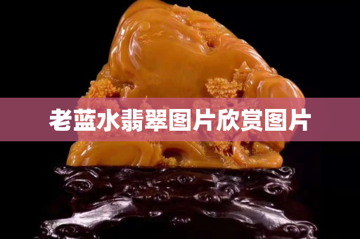 老蓝水翡翠图片欣赏图片