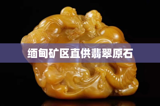 缅甸矿区直供翡翠原石