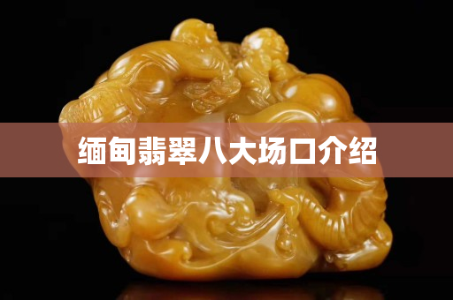 缅甸翡翠八大场口介绍