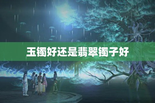 玉镯好还是翡翠镯子好