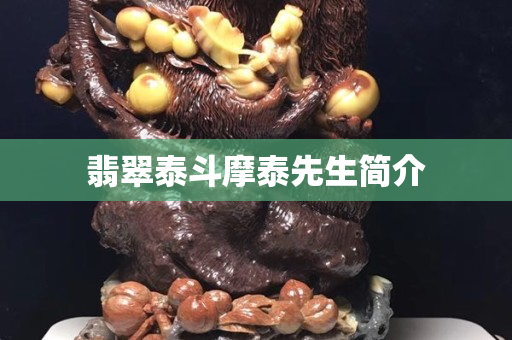 翡翠泰斗摩泰先生简介