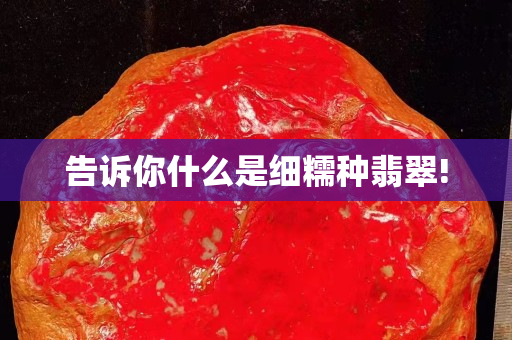 告诉你什么是细糯种翡翠!