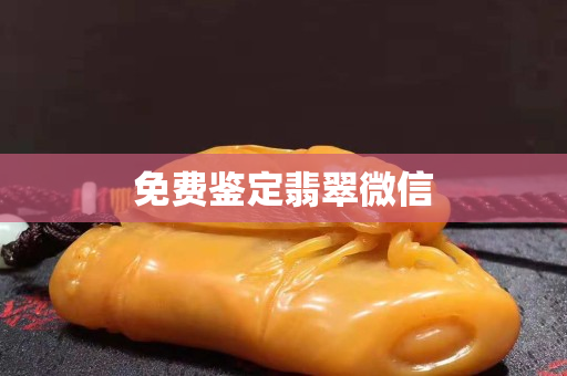 免费鉴定翡翠微信 免费鉴定翡翠微信